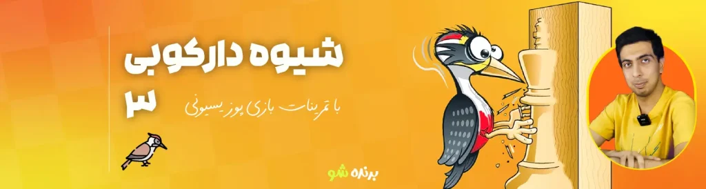 دوره آموزش شطرنج شیوه دارکوبی 3
